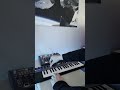 airwave adventure patch jam on modal Cobalt 5s  #synth #synthesizer #electronicmusic #jam #beat