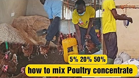 How to mix poultry concentrate feed /Difference between 5% 20% 50% Poultry concentrate