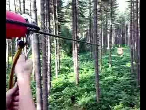 MF Meeting. Go ape. Sherwood forest. Video 7