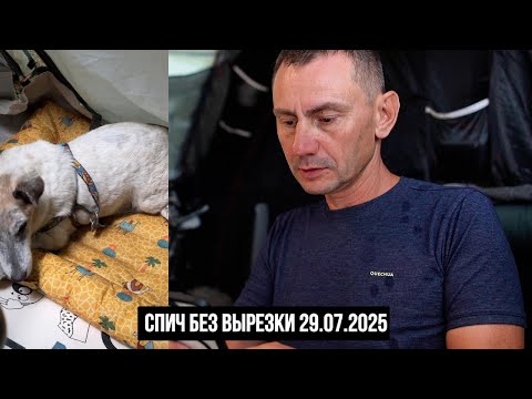 Спич без вырезки. 29.07.2025