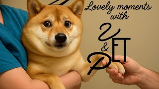 Viral Pet Videos: Drama at the Veterinary Clinic|Try Not To Laugh Challenge Funniest Pet Vet Moments