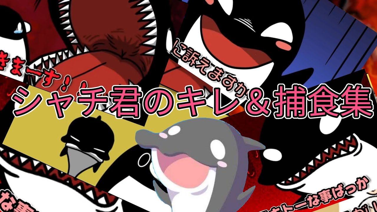 シャチ君のキレ＆捕食集（だいたい集めた）