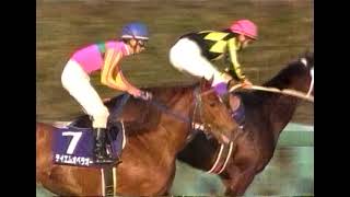 第45回 有馬記念 G1 （2000/12/24・中山） テイエムオペラオー