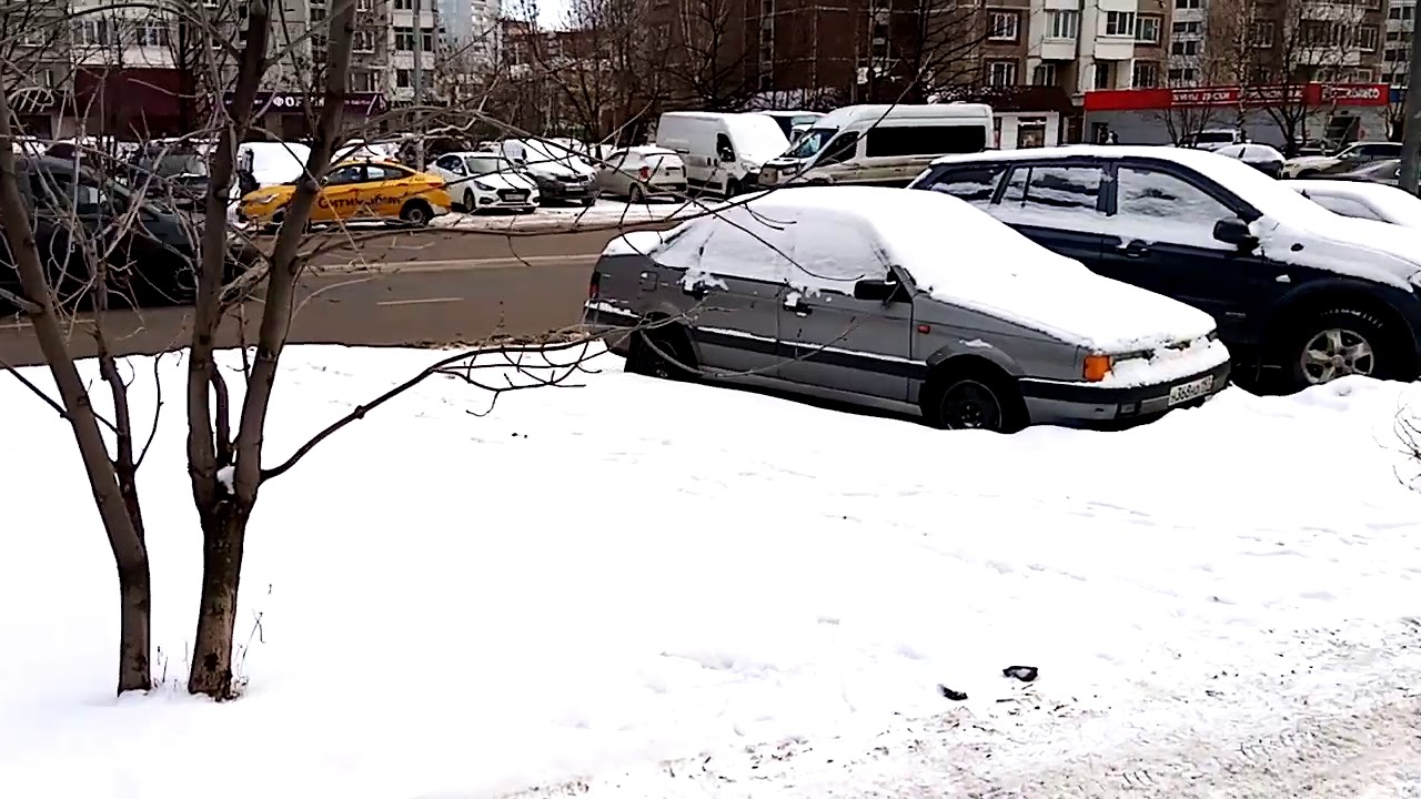 Авто рекорс зеленоград