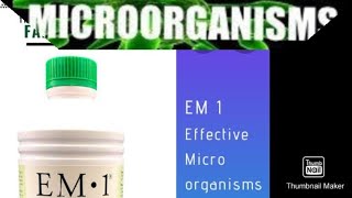 How To Use Em In Hen Farm Nattu Kozi Acham Naturalla Manakkum Murai