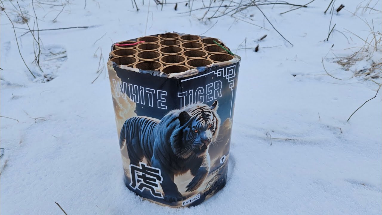 White Tiger -Pyrokratia 2025-2026