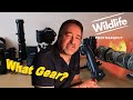 Canon Photography Gear and more for UK Wildlife and Nature Photography