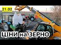 Ціни на зерно 21.02! Чому не купують українську пшеницю? Блокада портів