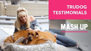 TruDog Testimonials: Mashup by TruDog 153 views 4 years ago 3 minutes, 8 seconds