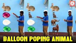 Balloon Poping Animal Video Editing || Kinemaster Video Editing