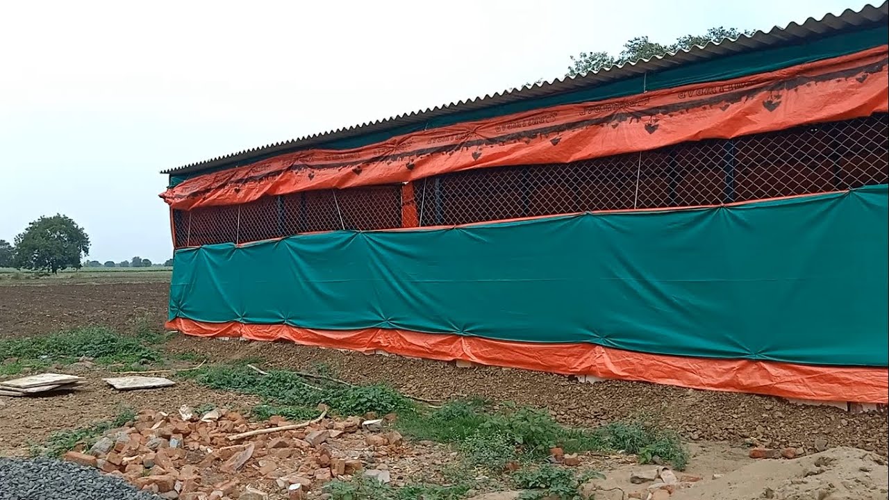 Low Cost Animal Shed Goat Farm Shed YouTube Low Cost Animal Shed Goat Farm Shed YouTube