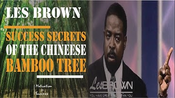 SUCCESS SECRETS OF THE CHINESE BAMBOO TREE  | Les Brown Motivational Speech | Motivation for Success