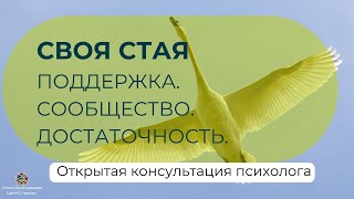 Открытая консультация в методе #нно. Поиск своей стаи: поддержки и сообщества. 