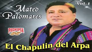 MATEO PALOMARES PRIMEROS EXITOS 01