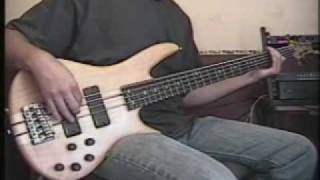 Video thumbnail of "Salvation is Here-(Bass cover)"
