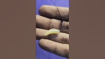 Easy Way to Put Fishing Bait on the Hook #shorts #fishing #tutorial