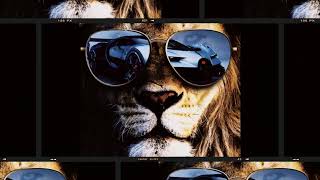 Gecə keçməz (300 Aboneye özel)