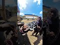 Funniest Maasai in Nairobi🤣 😭🔥