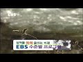 2005 Ebs Id 변천사