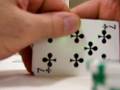Family Poker Game in Lebanon - YouTube