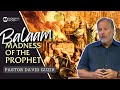 Balaam The Madness Of The Prophet Numbers 22 25