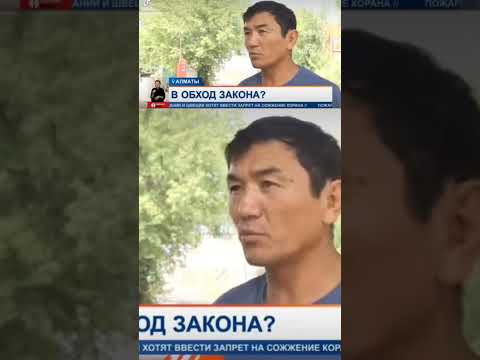 004 #Shorts / Частные судебные исполнители РК превышают должностные полнoмочия