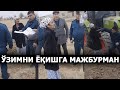 САМАРҚАНДДА БИР ГУРУҲ “ВАЛЛОМАТЛАР” ФЕРМЕР АЁЛНИНГ ЎЗИНИ ЁҚИШИГА МАЖБУР ҚИЛИШМОҚДА – EFFECT.UZ