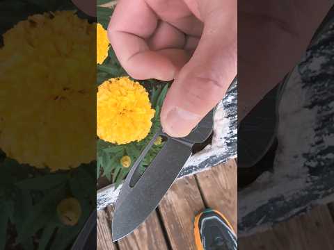 Snappy Pocket Knife