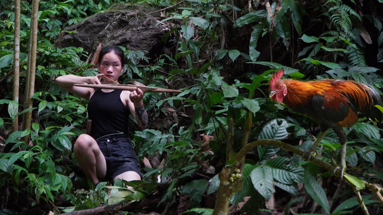 Wild Chicken Hunting In the Forest Lots of Wild Food, Survive Alone