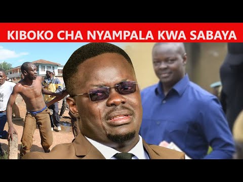 Video: Kusafiri Moshi: Portable Muundo Wa Ngazi Mbili, Toleo Linaloweza Kusafirishwa Kwa Samaki, Muundo Wa Kuvuta Baridi Baridi - Mwongozo
