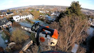 CHARGEMENT RAPIDE 😂 , DÉMONTAGE D'UN PEUPLIER , PEU DE PLACE STIHL 261