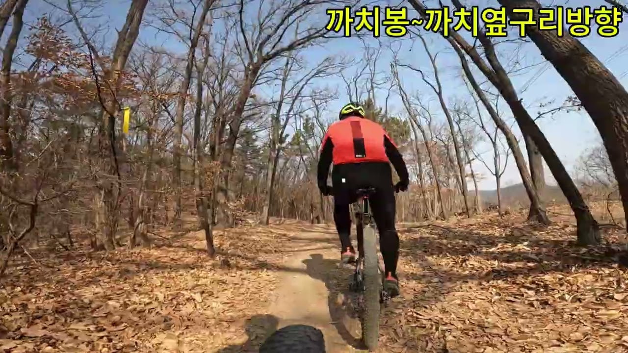 까치봉 ~ 옆구리방향 #mtb싱글