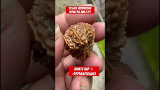18 FACE RUDRAKSHA FOR SELL YOU CAN ORDERS NOW NEPALI RUDRAKSHA 🚛✈️🇳🇵#youtubeshorts #rudraksha🇳🇵