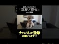 撮影中は愛犬も遊びに来るw #kazthefire #thefireroom #lilleague