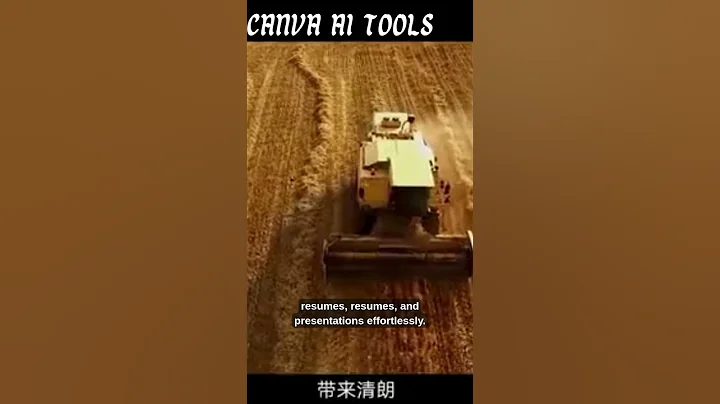 Top 5 AI Tools You Should Try in 2025