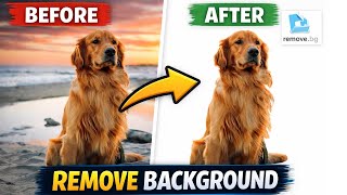 Remove Background From Any Image in 5 Seconds (Free Tool)