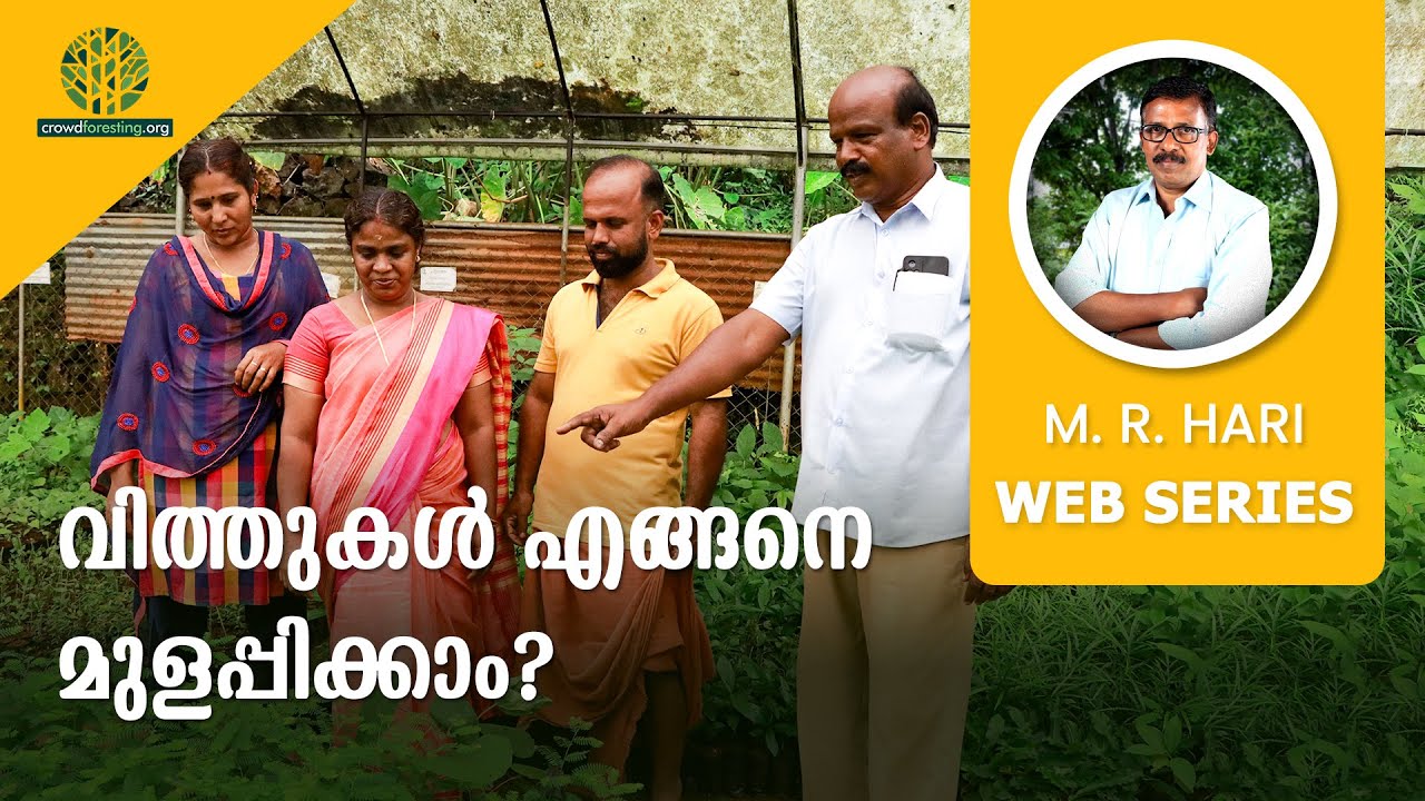 SEEDS AND HOW TO PLANT THEM | വിത്തുകള്‍ എങ്ങനെ മുളപ്പിക്കാം