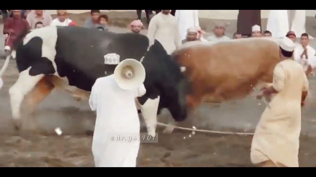 ذكريات النار شركة ابو خالد 💔.