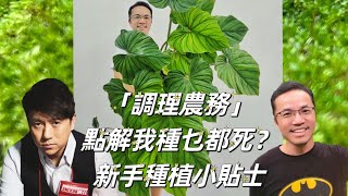 第五集：真係調理農務！點解我種乜都死？新手種植小貼士