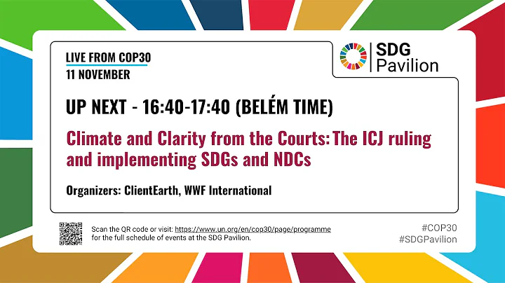 Nov 11 - Climate and Clarity from the Courts: The ICJ ruling and implementing SDGs and NDCs