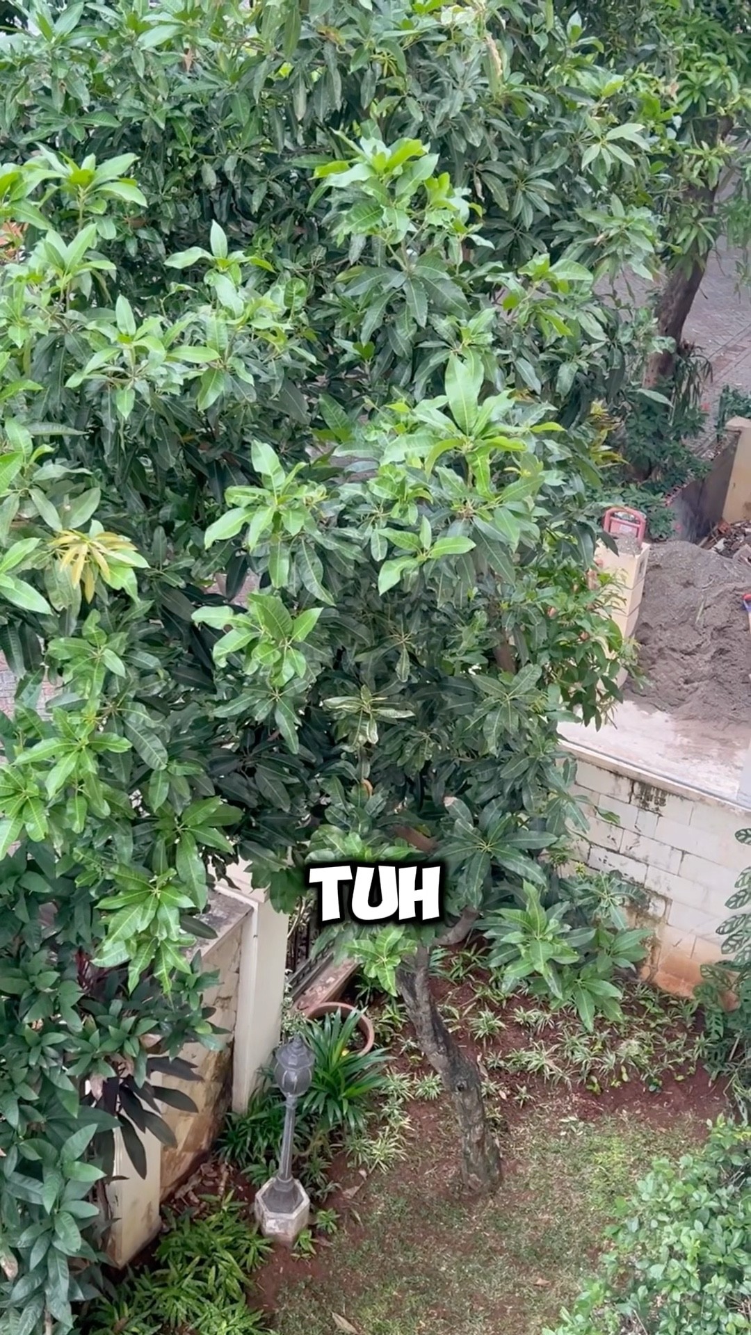 CEPET TUTUP KUPING!