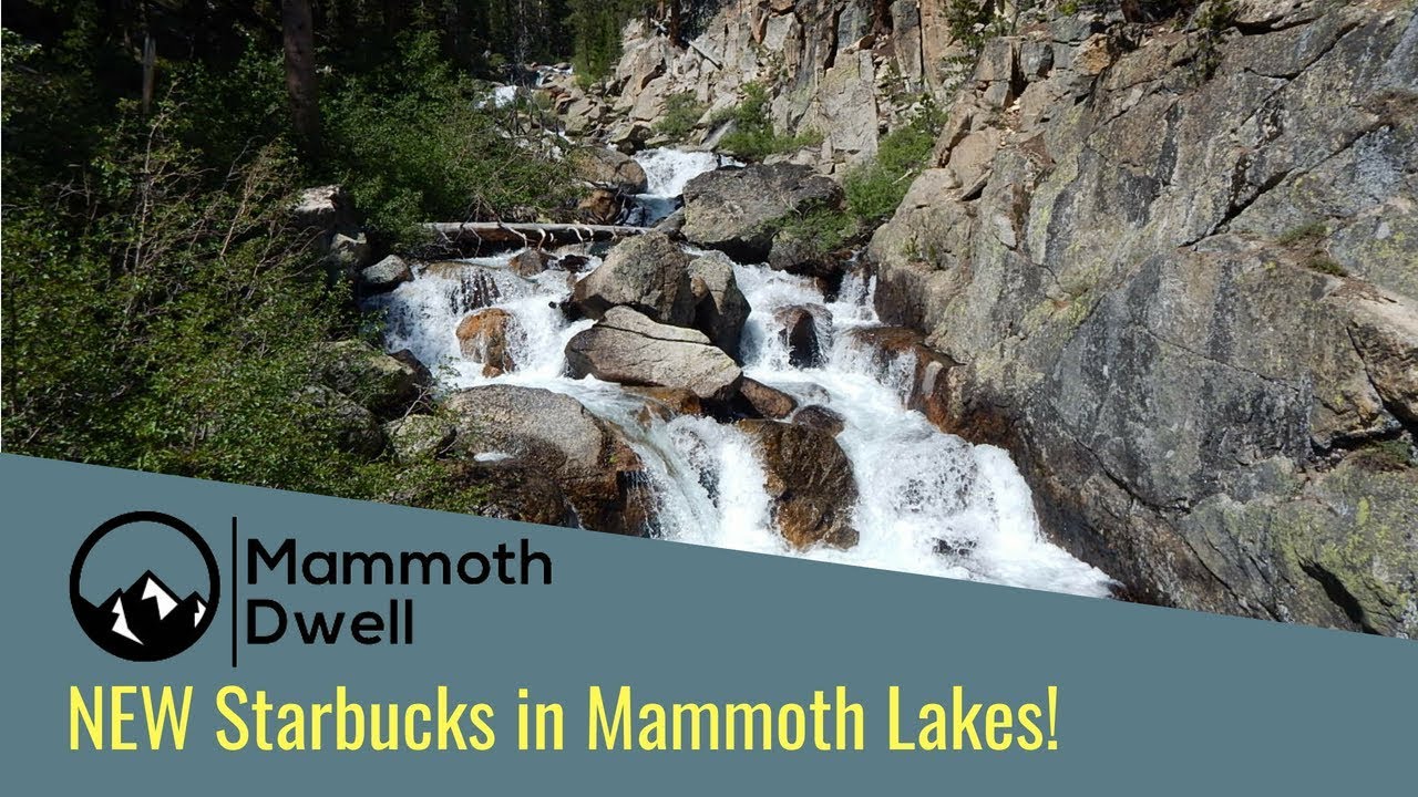 Mammoth Dwell
