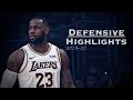 LeBron James Defensive Highlights | 2019-20