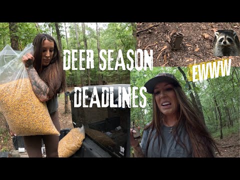 DEER FEED RUN, NEW RACCOON TRAP BAIT
