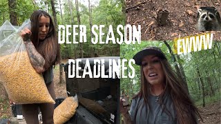 Deer Feed Run, New Rac Trap Bait