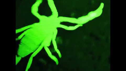 LIL KRYSTALLL - HELLO / НА БЛЭССЕ (НОВЫЙ СНИППЕТ / NEW SNIPPET 08/27/2022)