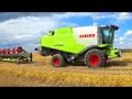 Уборочная компания 2019: Комбайны Claas Lexion 770,760,580,540 начали уборку зерновых в СПК "Гигант"