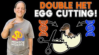 A First For Python Spawn Egg Cuttings!