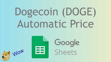 Dogecoin (DOGE) Price in Google Sheets - Wow 🚀
