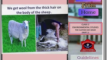 CLASS 2- ENVIRONMENTAL STUDIES - THE CLOTHES WE WEAR  - PART 1